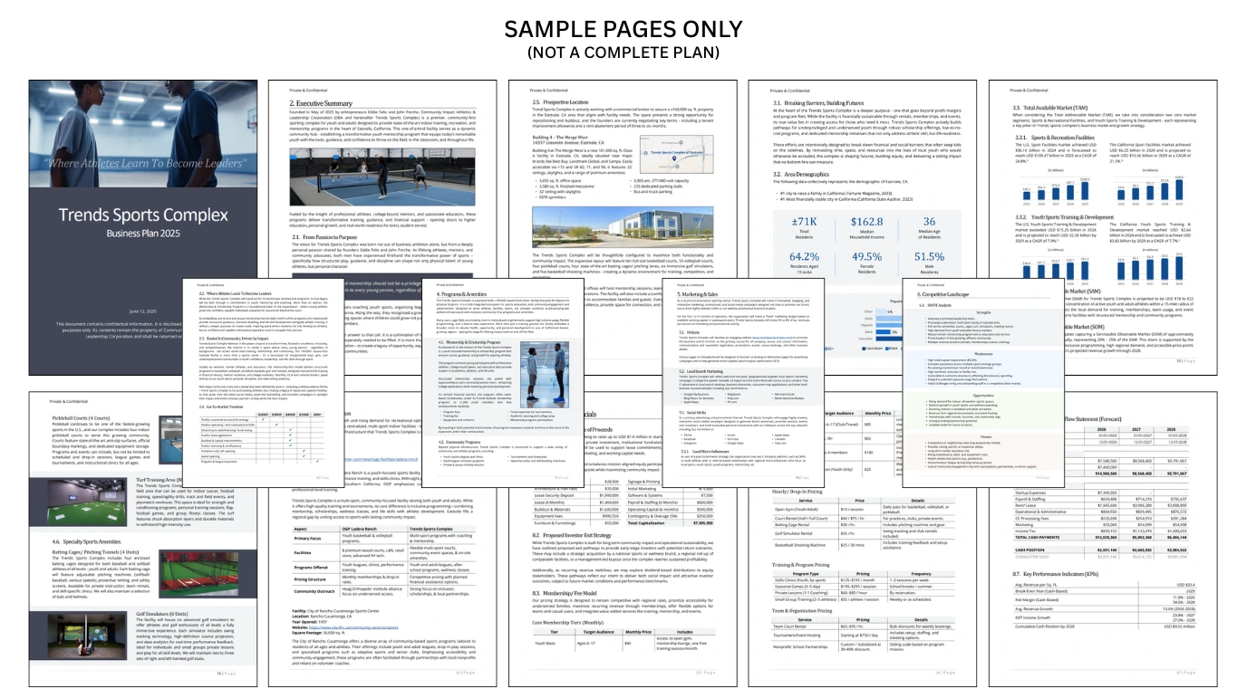View Our Sample Business Plan for Invetors